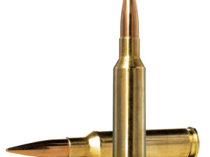 Norma Ammunition 10166312 Dedicated Precision Golden Target Match 6.5Creedmoor 130gr Boat Tail Hollow Point 20 Per Box/10 Case