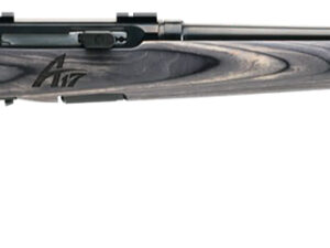 Savage Arms 47801 A17 Sporter Full Size 17 WSM 8+1 22" High Luster Button Rifled Barrel, High Luster Drilled & Tapped Carbon Steel Receiver, Matte Gray Fixed Laminate Stock, Right Hand
