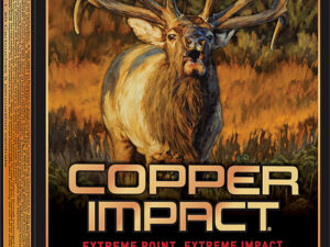 Winchester Ammo X3006CLF2 Copper Impact  30-06Springfield 180gr Copper Extreme Point Lead Free 20 Per Box/10 Case