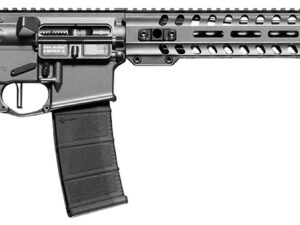 Patriot Ordnance Factory 01647 Minuteman Direct Impingement 350 Legend 16.50" 10+1 Tungsten Rec/14.5" M-Lok Handguard Black Nitride Barrel Black Polymer 6 Position MFT Stock & Grip