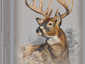 Winchester Ammo X68W1 Power-Point  6.8Western 170gr 20 Per Box/10 Case