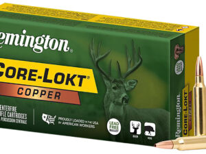 Remington Ammunition R27858 Core-Lokt Copper 300WinMag 180gr Copper Hollow Point 20 Per Box/10 Case