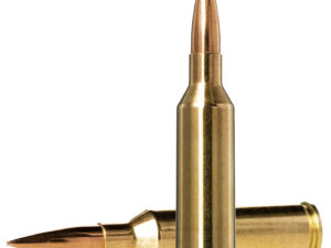 Norma Ammunition 10166462 Dedicated Precision Golden Target Match 6.5PRC 143gr Hollow Point Boat Tail 20 Per Box/10 Case