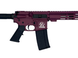 Great Lakes Firearms GL15223SSPCHY AR-15 Pistol 223 Wylde 30+1 7.50" Stainless Barrel, Black Cherry Rec, 7" M-LOK Handguard, Buffer Tube (No Brace), Black A2 Grip