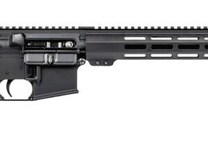 Battle Arms Development WORKHORSE-LT Workhorse LT 223 Rem/5.56 NATO 30+1 16" Black 223 Wylde Barrel Black 7" M-LOK Handguard A2 Mil-Spec Grip
