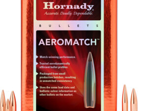 Hornady 227771   22Cal .224 77gr Hollow Point Boat Tail 500 Per Box/6 Case