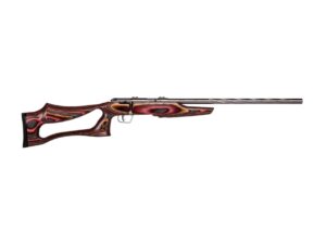 SAVAGE ARMS MARK II 22LR BOLT SS/EVO LAM