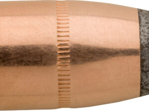 Sierra 8900 Pro-Hunter  45Cal 300GR Hollow Point Flat Nose 50/Box