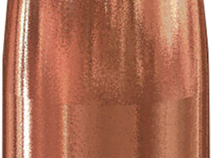 Speer 4708 Varmint  22Cal 52gr Jacketed Hollow Point 1000 Per Box/1 Case