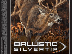 Winchester Ammo SBST243A Ballistic Silvertip  243Win 95gr Rapid Controlled Expansion Polymer Tip 20 Per Box/10 Case