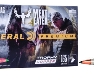 Federal P300WTC2 Premium  300WinMag 165gr Trophy Copper 20 Per Box/10 Case