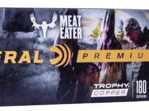 Federal P300WSMTC1 Premium  300WSM 180gr Trophy Copper 20 Per Box/10 Case