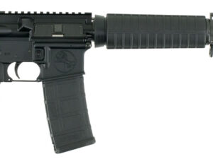 ArmaLite DEF15 M-15 Defensive Sporting Rifle 223 Rem/5.56 NATO 30+1 16" Chrome Moly Vanadium Barrel, Black Hard Coat Anodized Receiver, Black Synthetic 6 Position Collapsible Stock, Black Polymer Grip