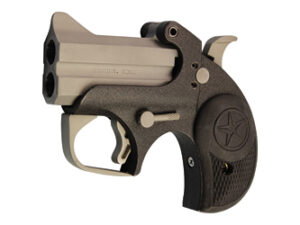 BOND BACKUP W/TG 9MM 2.5" STS/BLK