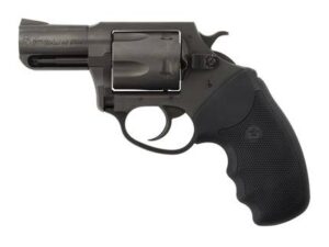 CHARTER ARMS CHARTER PITBULL 40SW NIT 2" FS