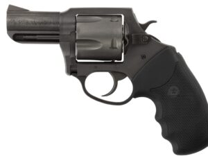 CHARTER ARMS CHARTER PITBULL 45ACP NIT 2.5"