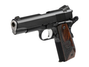 DW GUARDIAN 45ACP BOBTAIL 8RD BLK