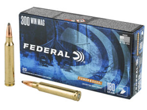 FED PWRSHK 300WIN 180GR SP 20/200