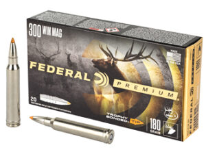 FED PRM 300WIN 180GR TRPHY TP 20/200