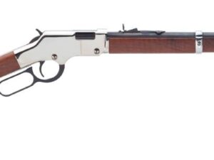 HENRY REPEATING ARMS GOLDEN BOY SILVER 22MAG