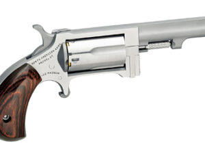 NAA SIDEWINDER 22LR/WMR 2.5" 5RD STS