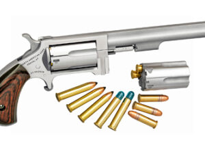 NAA SIDEWINDER 22LR/22WMR 4" 5RD STS