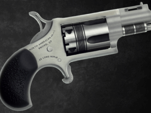 NORTH AMERICAN ARMS THE WASP 22LR REV 1-1/8" SS