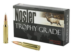 NOSLER 308WIN 150GR AB 20/200