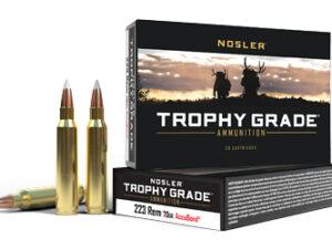 NOSLER TG 223REM 70GR AB 20/200
