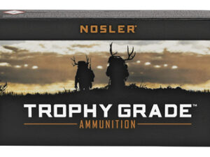 NOSLER TG 243WIN 100GR PT 20/200