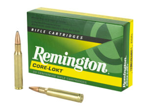 REM 3006 165GR PSP CL 20/200