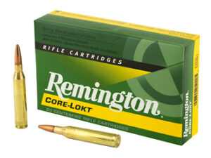 REM 25-06REM 120GR PSP CL 20/200