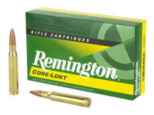 REM 3006 180GR PSP CL 20/200