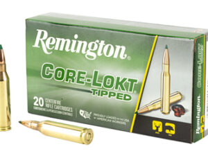 REM 243WIN 95GR CLOK TIPPED 20/200