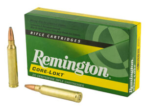 REM 300WIN 150GR PSP CL 20/200