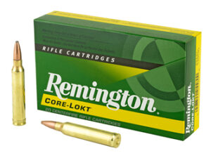 REM 300WIN 180GR PSP CL 20/200