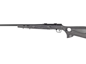 SAV A17 TRGT LAM THMBHLE 17HMR 22"