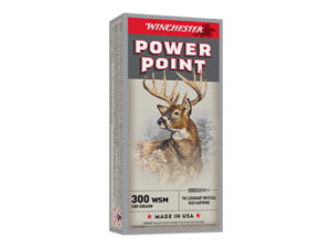 WIN SPRX PWR PNT 300WSM 180GR 20/200