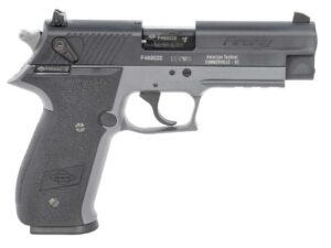 AMERICAN TACTICAL INC GSG FIREFLY 22LR GRY 4" 10+1