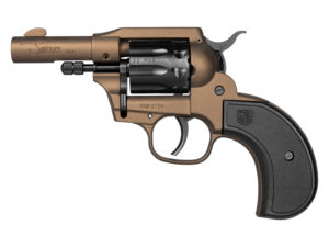 DIAMONDBACK FIREARMS SIDEKICK 22LR/22M BZ BIRDSHEAD