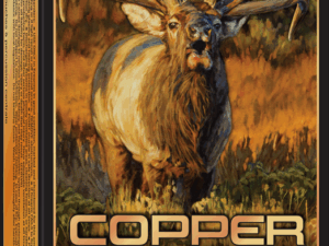 WINCHESTER COPPER IMPACT 300WSM 180G LEAD FREE 20RD BX 200RD CASE