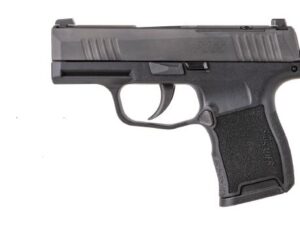 SIG SAUER P365 380ACP BLK 10+1 NS