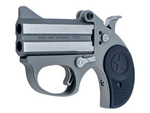 BOND ARMS STINGER 38SPC SS 3" FS