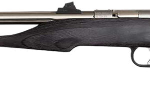 Chipmunk 40103 Hunter  Youth Frame 22 LR Single Shot 9" Threaded Stainless Steel Barrel, Black Laminate Frame