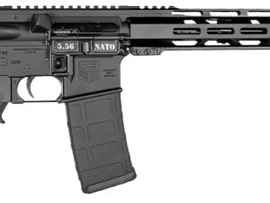 Diamondback DB175AK003 DB15  5.56 NATO 30+1 Black Nitride Black Hardcoat Anodize Aluminum Receiver, 12" M-LOK Handguard, Black A2 Grip