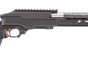 RUG 31230 10/22 22LR COMP 10.10 GRYBIRCH