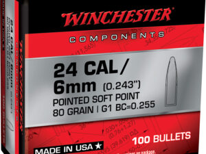 Winchester Ammo WB243SP80X Centerfire Rifle  243Win 80gr Pointed Soft Point 100 Per Box/10 Case