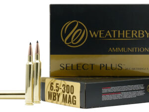 Weatherby H653140IL Select  6.5x300 Wthby Mag 140 gr 3275 fps Hornady Interlock 20 Bx/10 Cs