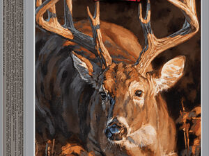 Winchester Ammo X300SDS2 Deer Season XP  300WSM 180gr 20 Per Box/10 Case