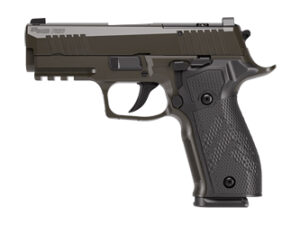 SIG P226 XLGN SAO 9MM 3.8" 10RD GRY